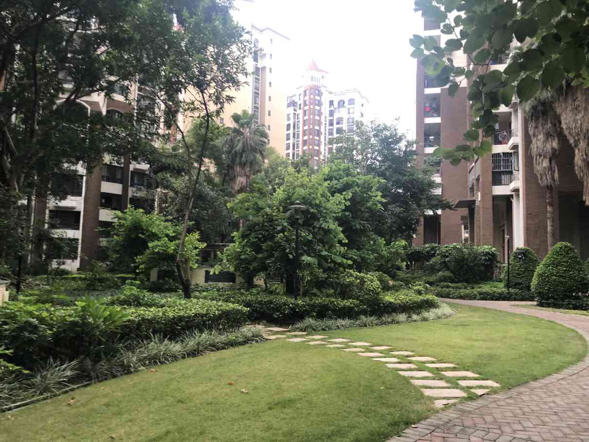 龙光普罗旺斯薰衣草庄园