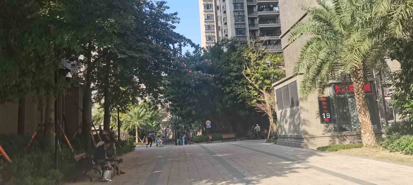 恒大绿洲