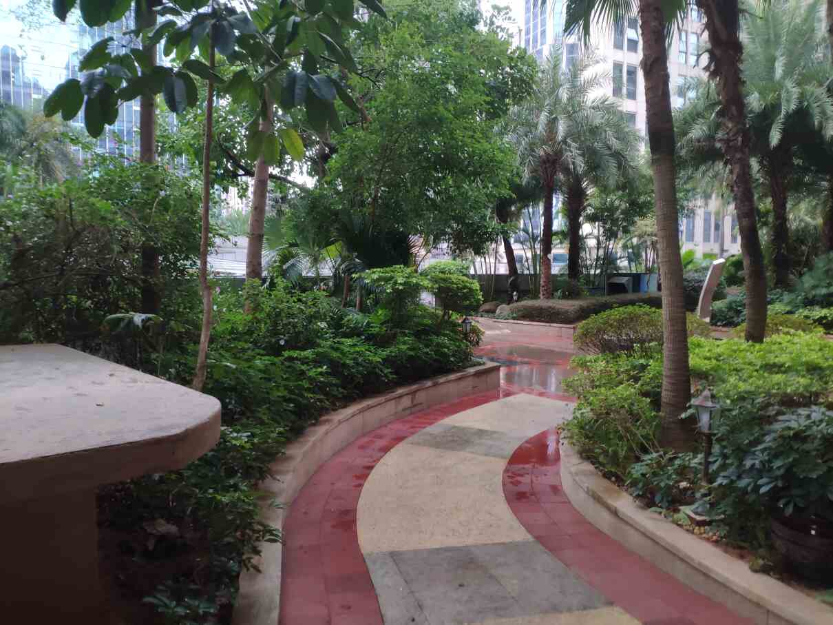 利海亚洲国际