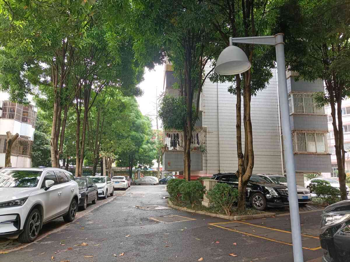 公路局与交通厅宿舍滨湖路