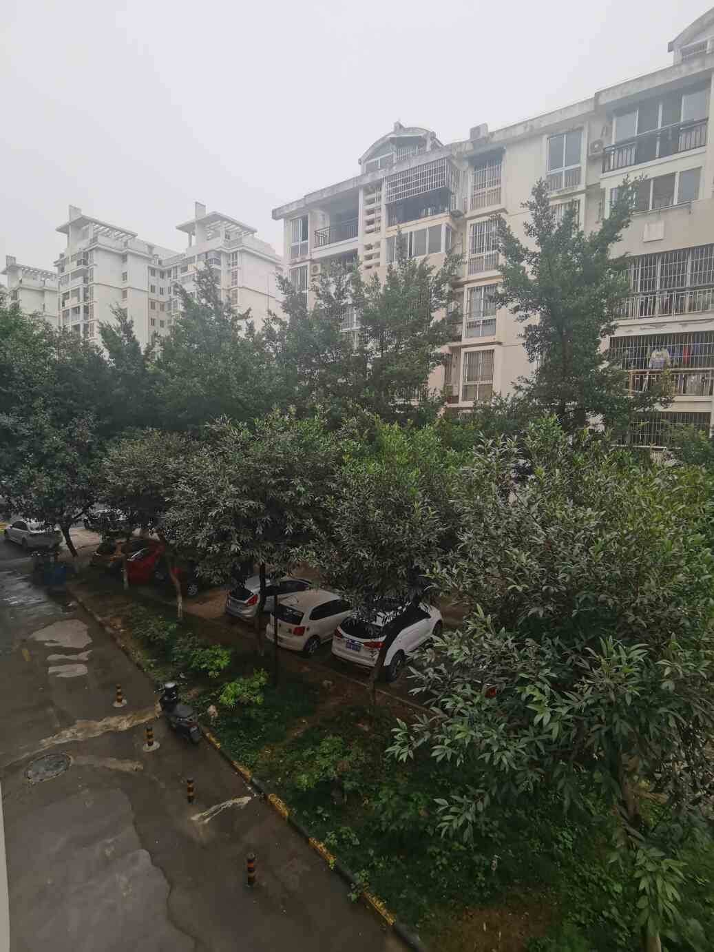 凤岭在水一方