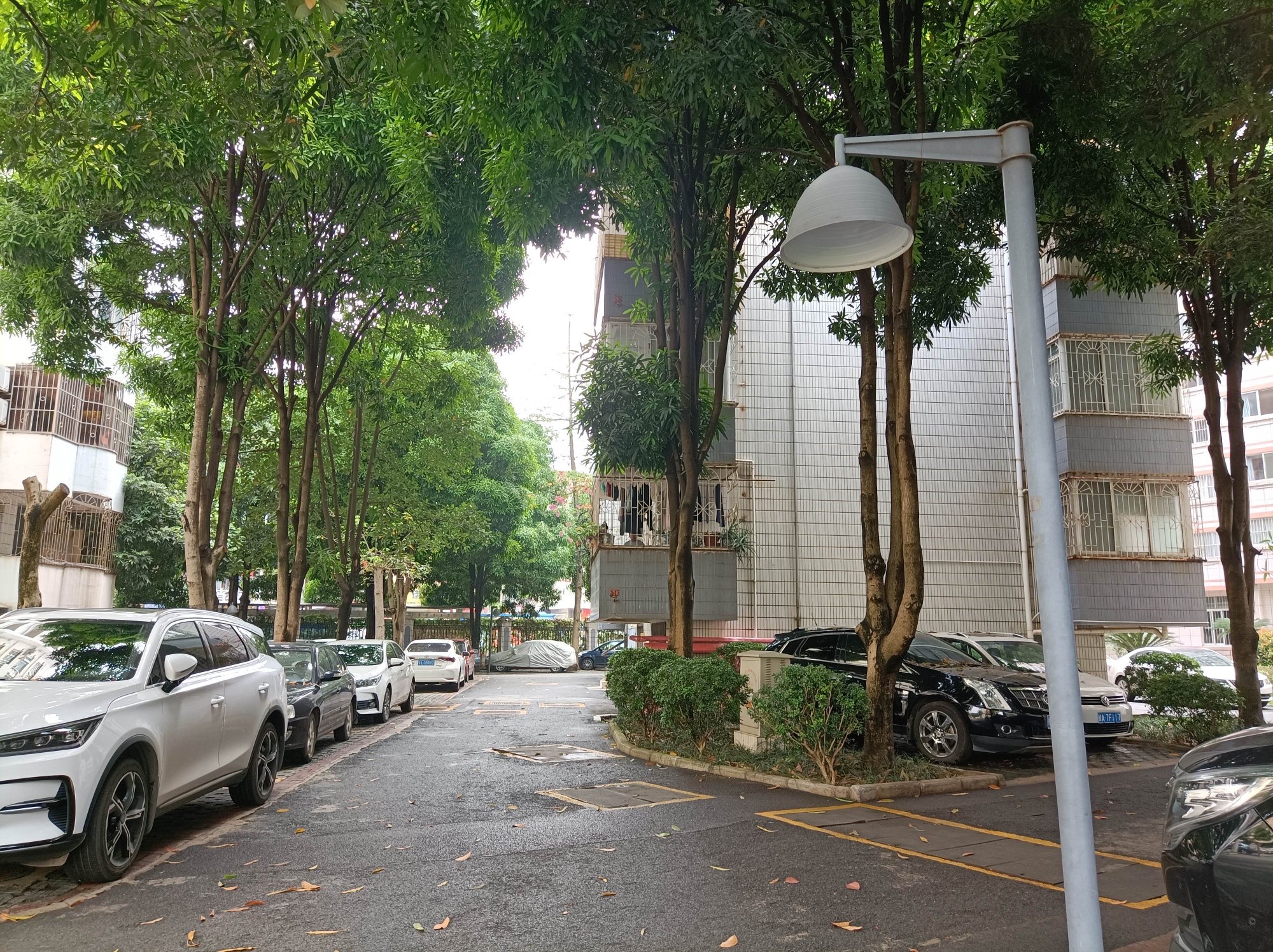 小区